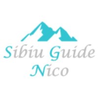 Sibiu Guide Nico / Trips to Transylvania Logo