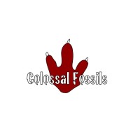 Colossal Fossils Inc. Logo