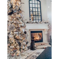 Cast Fireplaces Inc. Logo