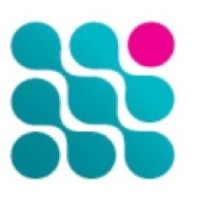 Niche & Rare Logo