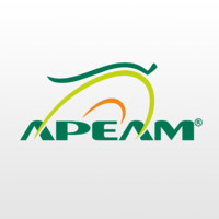 APEAM, A.C. Logo
