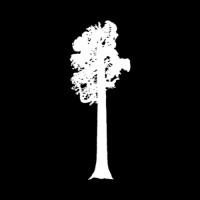 Sequoia Group Logo