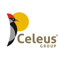 Constructora Celeus Group Logo