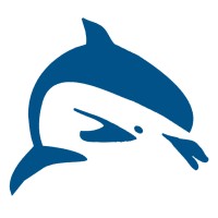 Dolphin Consulting Logo