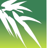 Pacific Bamboo Resources Logo