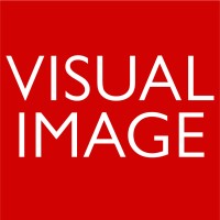 Visual Image Logo