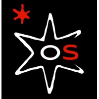 Officina Stellare S.p.A Logo