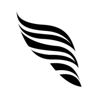 TouchLight Logo
