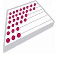 Freibert CPA Group, PLLC Logo