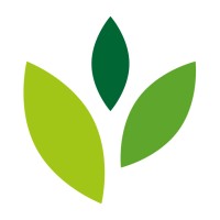 Wilderness International Kindergarten Logo