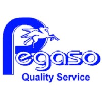 Pegaso S.r.l. Quality Service Logo