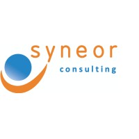 SYNEOR Consulting Logo