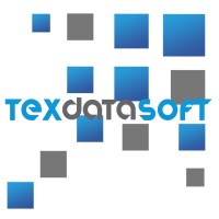 Texas Data Soft Logo
