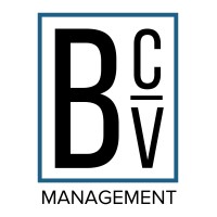 Bayou City Vista Management Logo