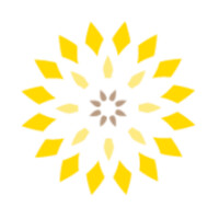 The Picas Group Logo
