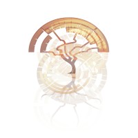 Integricall Insurance Brokers Logo