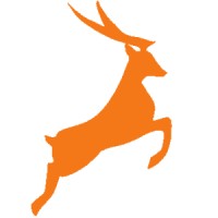 Studio Polo Logo