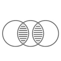 International Digital Business Solutions Limited Logo