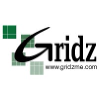 Gridz The Clear Choice In IT Solutions Logo
