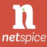 netspice GmbH & Co K.G. Logo