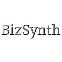 BizSynth.com Logo
