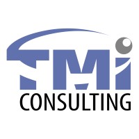 TMI Consulting, LLC Logo