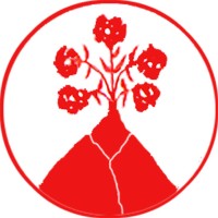 Procacci SRL Logo