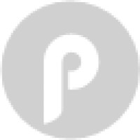 Paragon Search Partners Logo