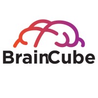 BrainCube Enterprise Solutions Pvt. Ltd. Logo