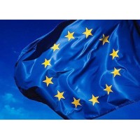 European Settlement Ltd. Logo