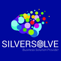 Silver Solve Logo