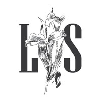 Letter and Stone Logo