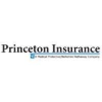 Princeton Insurance Company Logo