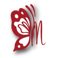 MetaMatch Professional Services Logo