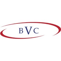 Vaselopulos Consulting, Inc. Logo