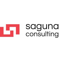 SAGUNA CONSULTING SERVICES LLC Logo