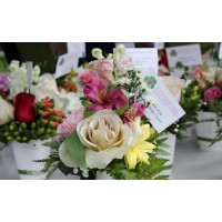 Power of Flowers Project Logo