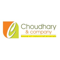 Choudhary & Company, Udaipur (India) Logo