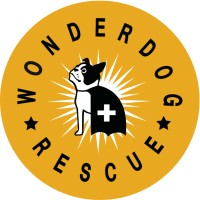 Wonder Dog Rescue Logo