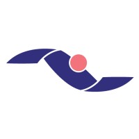 Nanosys Logo