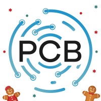 ProCibernética Logo