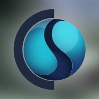 Credit Salvation Group LLC Logo
