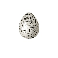 Hannah Blount Jewelry Logo