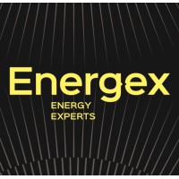 Energex Energy Experts Logo