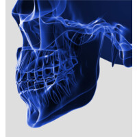 Prudental Laboratories Logo