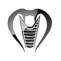 Cobra Transmission Logo
