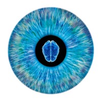 NeurOptics Logo