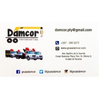 DAMCOR International Corp Logo