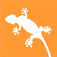 Gecko Solar Logo