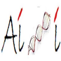 AI&I Corp Logo